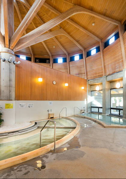 美肌の湯　日帰り天然温泉：あらたまの湯　（平日）