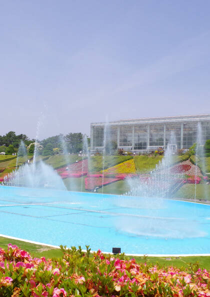 はままつフラワーパーク　入園：四季折々の花々が織りなす憩いのガーデン