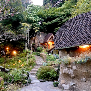 ぬくもりの森：入場券