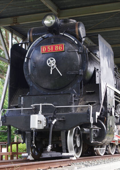 はままつフラワーパーク　入園：四季折々の花々が織りなす憩いのガーデン