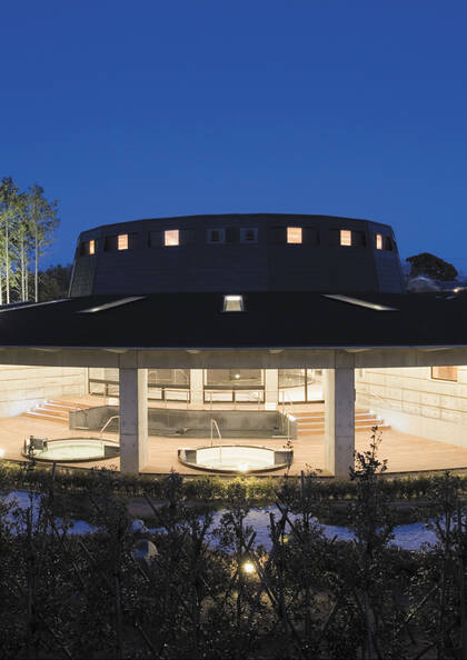 美肌の湯　日帰り天然温泉：あらたまの湯　（平日）