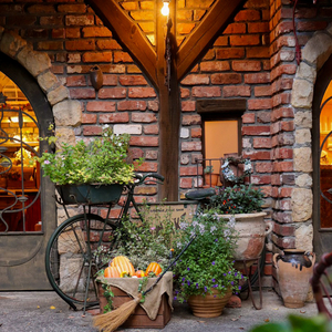 ぬくもりの森：入場券