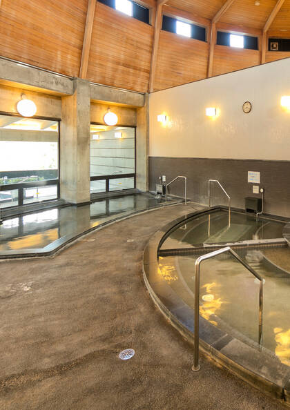 美肌の湯　日帰り天然温泉：あらたまの湯　（平日）