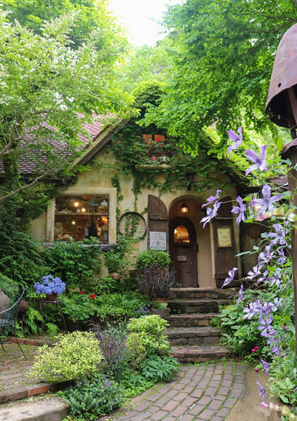 ぬくもりの森：ぬくもりガレリアセット券（平日）