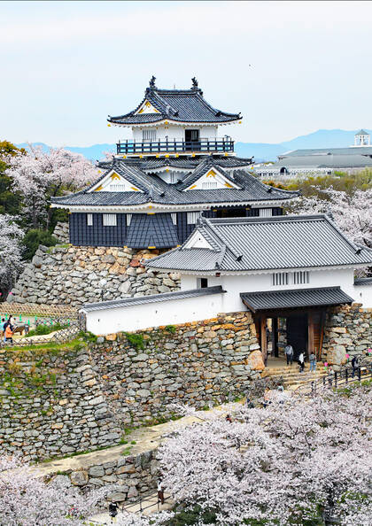 浜松城：城下町を望む 徳川家康の出世城