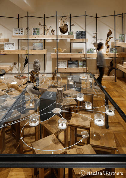 ふじのくに地球環境史ミュージアム：  