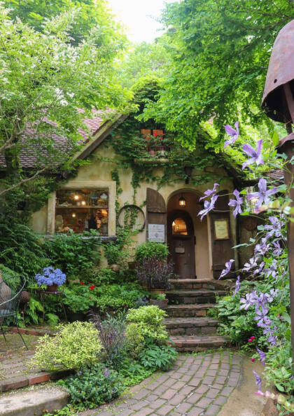 ぬくもりの森：ぬくもりガレリアセット券（土日祝）