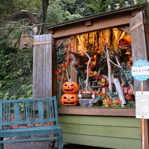 ぬくもりの森：入場券