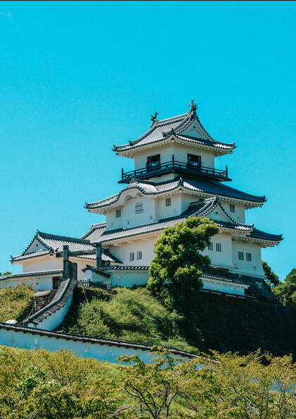 掛川城：天守閣・御殿