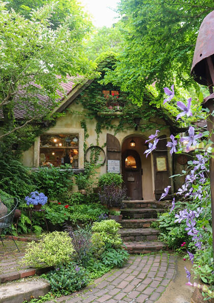 ぬくもりの森：入場券