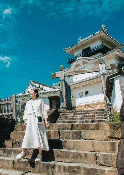 掛川城：天守閣・御殿