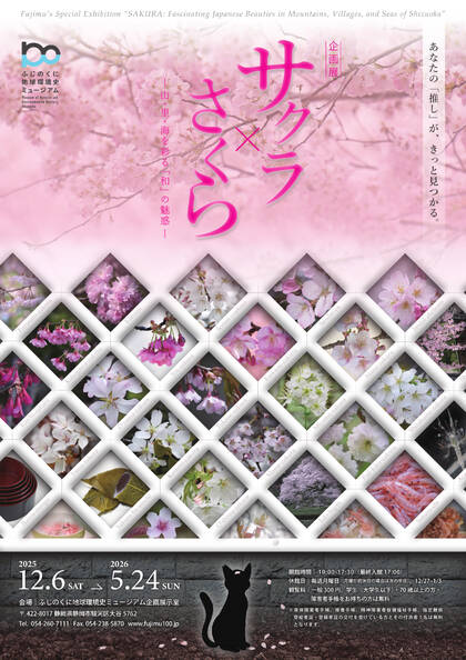 ふじのくに地球環境史ミュージアム：  